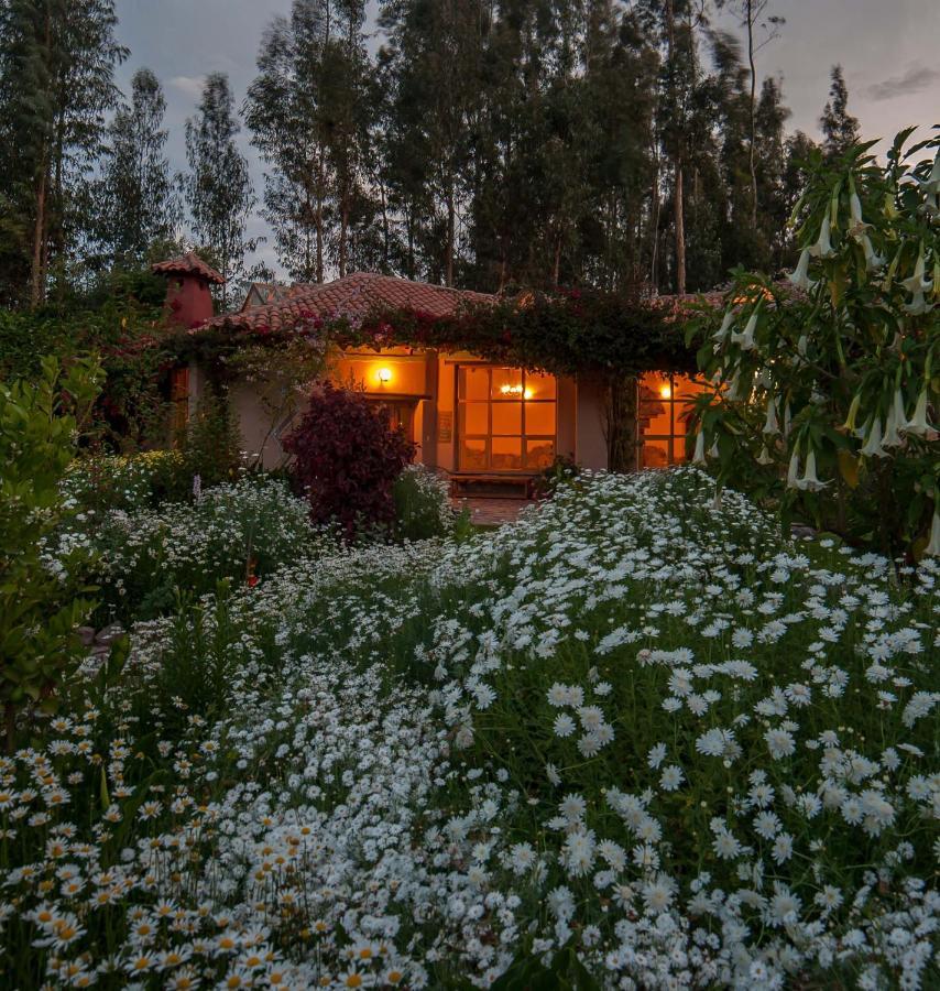 Willka T'Ika Hotel Urubamba Ngoại thất bức ảnh